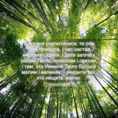 Picture 05 - Об'явлення 11:18 UKR - А погани розлютилися, та - Bible Verse Picture