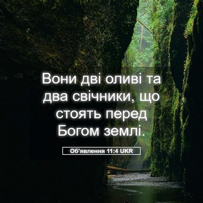 Picture 05 - Об'явлення 11:4 UKR - Вони дві оливі та два - Bible Verse Picture