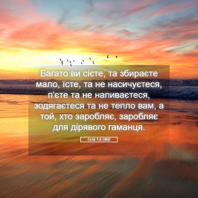 Picture 05 - Огій 1:6 UKR - Багато ви сієте, та - Bible Verse Picture