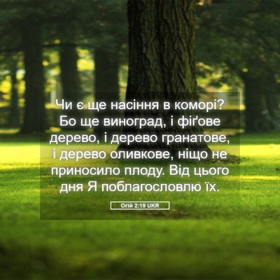 Picture 05 - Огій 2:19 UKR - Чи є ще насіння в коморі? Бо - Bible Verse Picture