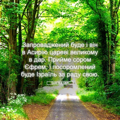 Picture 05 - Осія 10:6 UKR - Запроваджений буде і він в - Bible Verse Picture