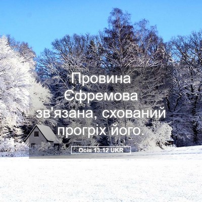 Picture 05 - Осія 13:12 UKR - Провина Єфремова зв'язана, - Bible Verse Picture