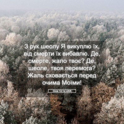 Picture 05 - Осія 13:14 UKR - З рук шеолу Я викуплю їх, - Bible Verse Picture
