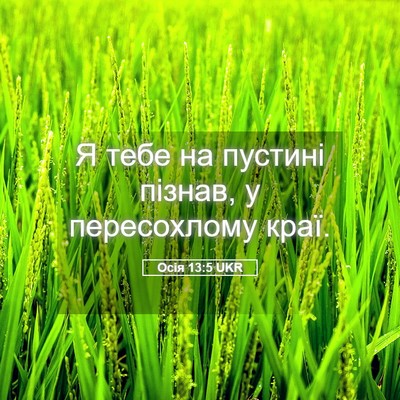 Picture 05 - Осія 13:5 UKR - Я тебе на пустині пізнав, у - Bible Verse Picture