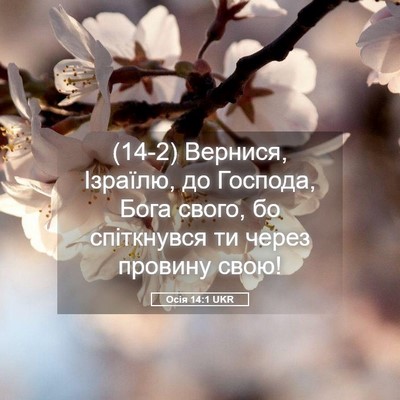 Picture 05 - Осія 14:1 UKR - (14-2) Вернися, Ізраїлю, до - Bible Verse Picture
