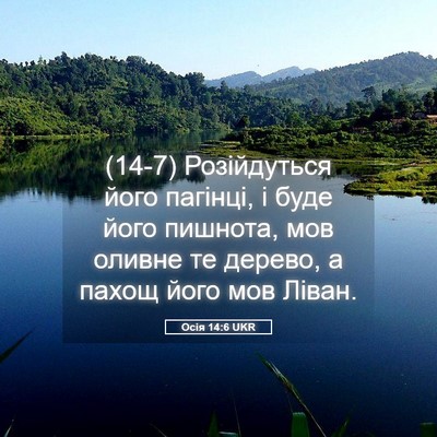 Picture 05 - Осія 14:6 UKR - (14-7) Розійдуться його - Bible Verse Picture