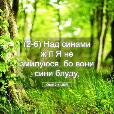 Picture 05 - Осія 2:4 UKR - (2-6) Над синами ж її Я не - Bible Verse Picture