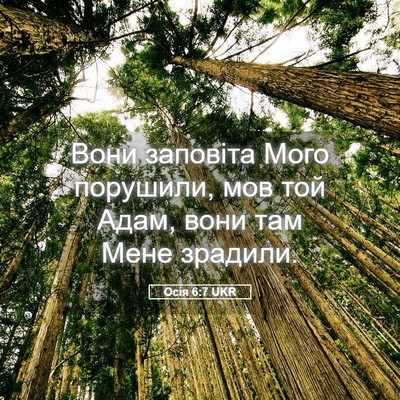 Picture 05 - Осія 6:7 UKR - Вони заповіта Мого - Bible Verse Picture