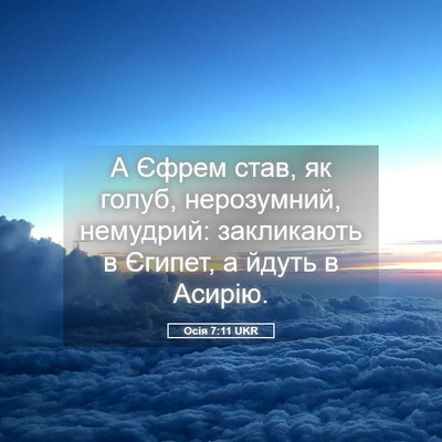 Picture 05 - Осія 7:11 UKR - А Єфрем став, як голуб, - Bible Verse Picture