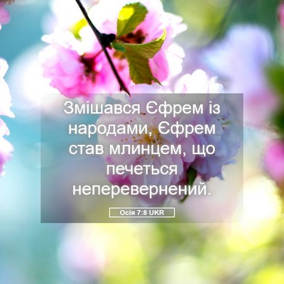 Picture 05 - Осія 7:8 UKR - Змішався Єфрем із - Bible Verse Picture