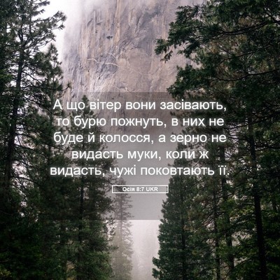 Picture 05 - Осія 8:7 UKR - А що вітер вони засівають, - Bible Verse Picture