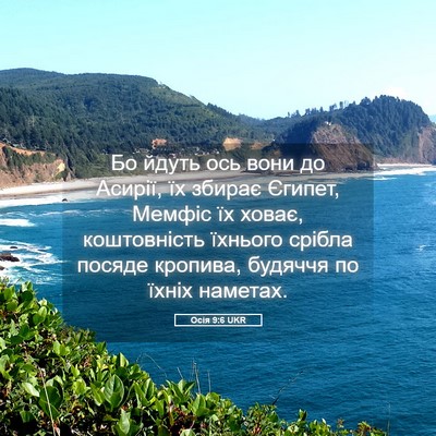 Picture 05 - Осія 9:6 UKR - Бо йдуть ось вони до - Bible Verse Picture