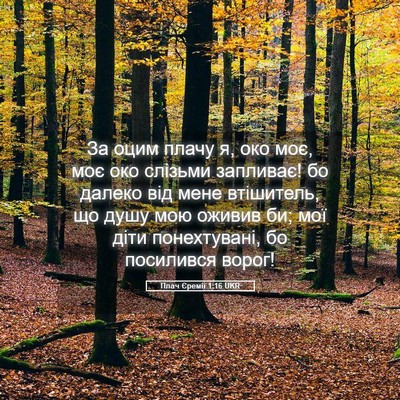 Picture 05 - Плач Єремії 1:16 UKR - За оцим плачу я, око моє, - Bible Verse Picture