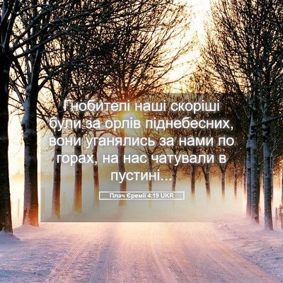 Picture 05 - Плач Єремії 4:19 UKR - Гнобителі наші скоріші - Bible Verse Picture