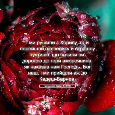 Picture 05 - Повторення Закону 1:19 UKR - І ми рушили з Хориву, та й - Bible Verse Picture