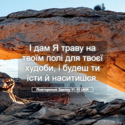 Picture 05 - Повторення Закону 11:15 UKR - І дам Я траву на твоїм полі - Bible Verse Picture