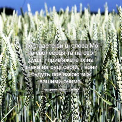 Picture 05 - Повторення Закону 11:18 UKR - І покладете ви ці слова Мої - Bible Verse Picture