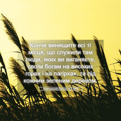 Picture 05 - Повторення Закону 12:2 UKR - Конче винищите всі ті - Bible Verse Picture