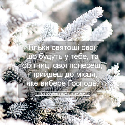 Picture 05 - Повторення Закону 12:26 UKR - Тільки святощі свої, що - Bible Verse Picture