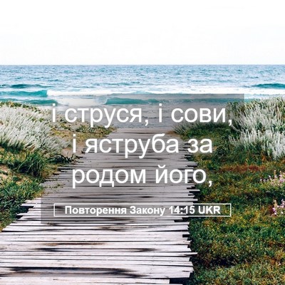 Picture 05 - Повторення Закону 14:15 UKR - і струся, і сови, і яструба - Bible Verse Picture