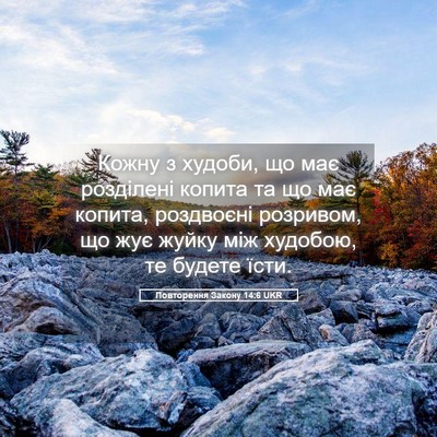 Picture 05 - Повторення Закону 14:6 UKR - Кожну з худоби, що має - Bible Verse Picture