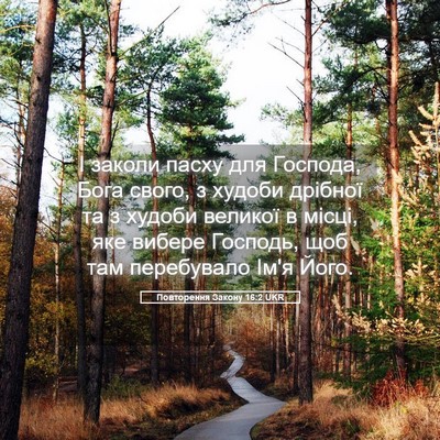 Picture 05 - Повторення Закону 16:2 UKR - І заколи пасху для Господа, - Bible Verse Picture