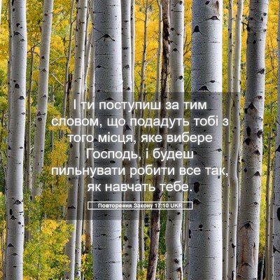 Picture 05 - Повторення Закону 17:10 UKR - І ти поступиш за тим - Bible Verse Picture