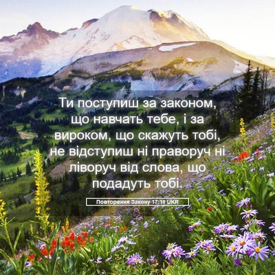 Picture 05 - Повторення Закону 17:11 UKR - Ти поступиш за законом, що - Bible Verse Picture