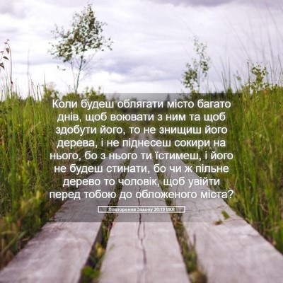Picture 05 - Повторення Закону 20:19 UKR - Коли будеш облягати місто - Bible Verse Picture