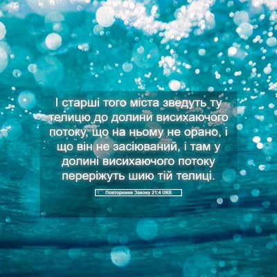 Picture 05 - Повторення Закону 21:4 UKR - І старші того міста - Bible Verse Picture