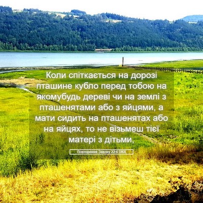 Picture 05 - Повторення Закону 22:6 UKR - Коли спіткається на дорозі - Bible Verse Picture