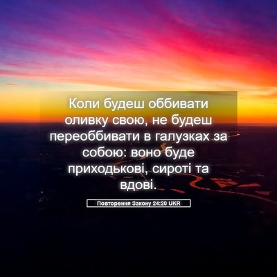 Picture 05 - Повторення Закону 24:20 UKR - Коли будеш оббивати оливку - Bible Verse Picture