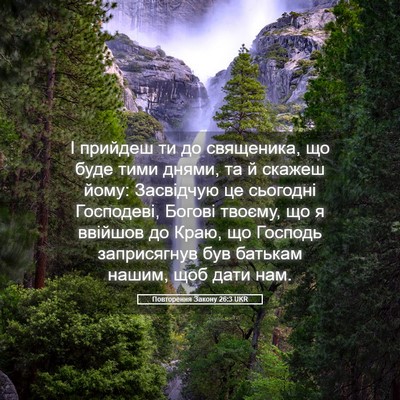 Picture 05 - Повторення Закону 26:3 UKR - І прийдеш ти до священика, - Bible Verse Picture