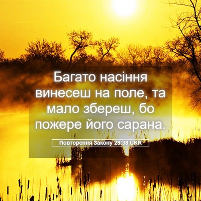 Picture 05 - Повторення Закону 28:38 UKR - Багато насіння винесеш на - Bible Verse Picture