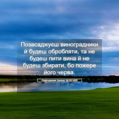 Picture 05 - Повторення Закону 28:39 UKR - Позасаджуєш виноградники - Bible Verse Picture