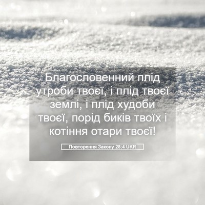 Picture 05 - Повторення Закону 28:4 UKR - Благословенний плід - Bible Verse Picture
