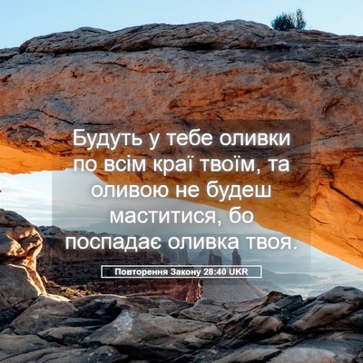 Picture 05 - Повторення Закону 28:40 UKR - Будуть у тебе оливки по - Bible Verse Picture