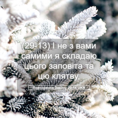 Picture 05 - Повторення Закону 29:14 UKR - (29-13) І не з вами самими я - Bible Verse Picture