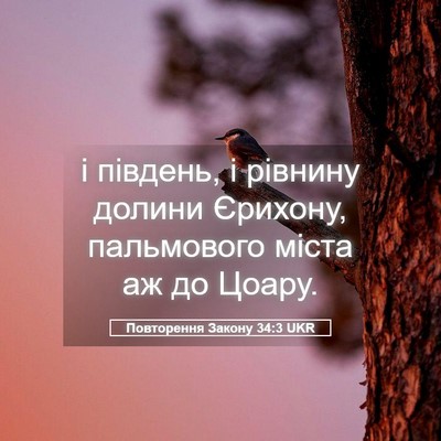 Picture 05 - Повторення Закону 34:3 UKR - і південь, і рівнину долини - Bible Verse Picture