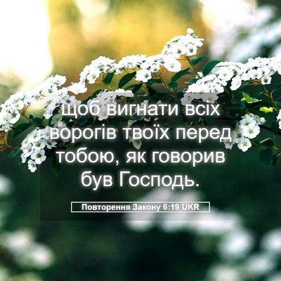 Picture 05 - Повторення Закону 6:19 UKR - щоб вигнати всіх ворогів - Bible Verse Picture