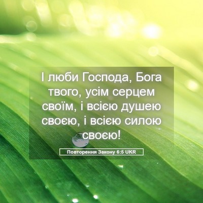 Picture 05 - Повторення Закону 6:5 UKR - І люби Господа, Бога твого, - Bible Verse Picture