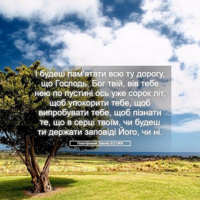 Picture 05 - Повторення Закону 8:2 UKR - І будеш пам'ятати всю ту - Bible Verse Picture