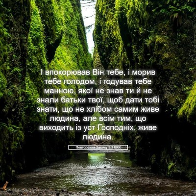 Picture 05 - Повторення Закону 8:3 UKR - І впокорював Він тебе, і - Bible Verse Picture