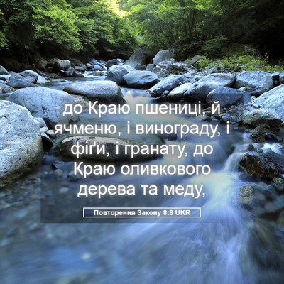 Picture 05 - Повторення Закону 8:8 UKR - до Краю пшениці, й ячменю, і - Bible Verse Picture