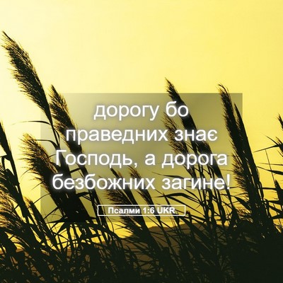 Picture 05 - Псалми 1:6 UKR - дорогу бо праведних знає - Bible Verse Picture