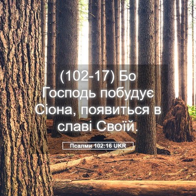 Picture 05 - Псалми 102:16 UKR - (102-17) Бо Господь побудує - Bible Verse Picture