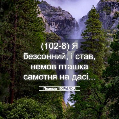 Picture 05 - Псалми 102:7 UKR - (102-8) Я безсонний, і став, - Bible Verse Picture