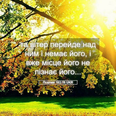 Picture 05 - Псалми 103:16 UKR - та вітер перейде над ним і - Bible Verse Picture