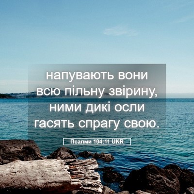 Picture 05 - Псалми 104:11 UKR - напувають вони всю пільну - Bible Verse Picture