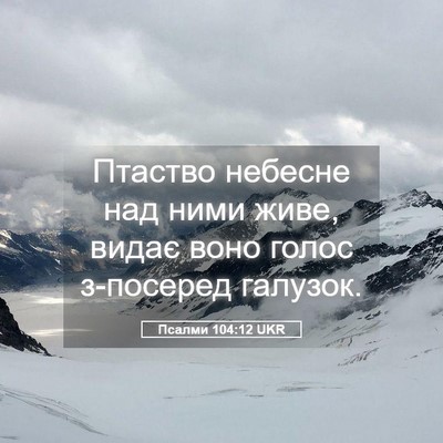 Picture 05 - Псалми 104:12 UKR - Птаство небесне над ними - Bible Verse Picture